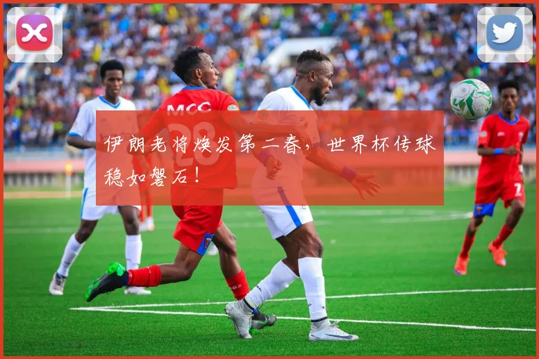 伊朗老将焕发第二春，世界杯传球稳如磐石！